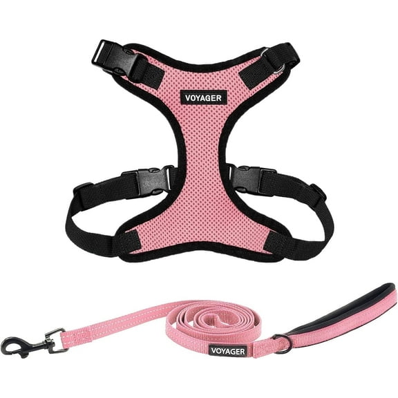 Voyager Step-In Lock Dog Harness & Reflective Leash Set w/ Neoprene Handle 6ft - For Small to Large Breed Dogs/ Cats, Cute & Heavy-Duty for Walking, Running & Training - Pink Black Trim, XXXS