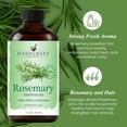 thumbnail image 4 of Handcraft Blends Rosemary Essential Oil - 100% Pure and Natural - Premium Grade Essential Oil for Diffuser and Aromatherapy - 1 Fl Oz, 4 of 7