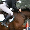 thumbnail image 2 of Equestrian Jump Bat, 2 of 8