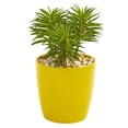 thumbnail image 4 of Nearly Natural Plastic Red 9" Mixed Succulent Artificial Plant in Yellow Vase (Set of 3), 4 of 4