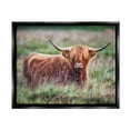 thumbnail image 2 of Stupell Industries Highland Longhorn Cattle Grazing Rural Countryside Grassland Photograph Luster Gray Floating Framed Canvas Print Wall Art, Design by James Dobson, 2 of 5