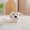 A, variant on Cute 3D Spotted Dog Ceramic Mug - Adorable Drinkware for Dog Lovers