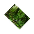 thumbnail image 2 of QualitChoice Aquarium Background 3D Background Poster Fish Wall Tank Sticker Decorations Grass Green 122x46cm, 2 of 6