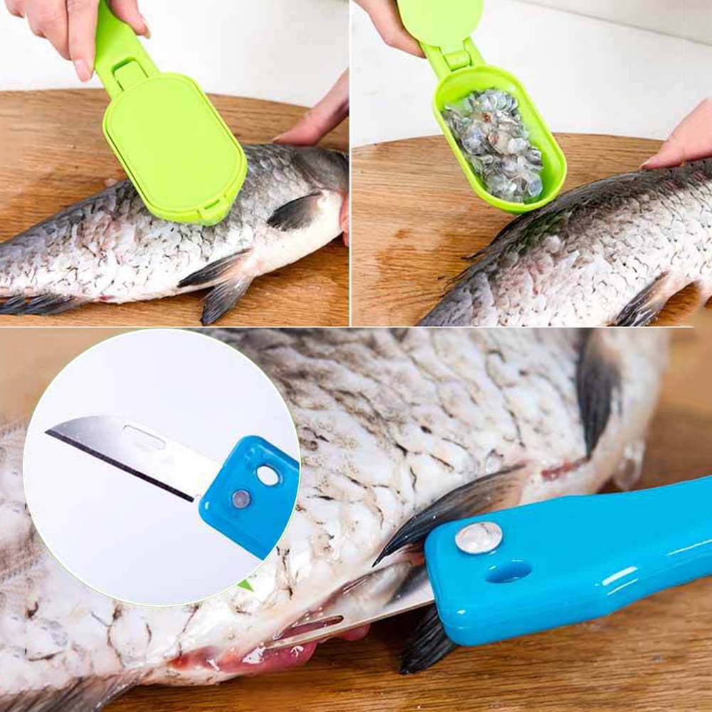 Jeobest 1pc Fish Scaler Scale Remover Fish Scraper Fast Fish Scale Remover Scales Planing Fish Skin Scales Remover Fast Cleaner Home Kitchen Clean Tools Color Randomly Sent Mz Walmart Com