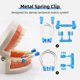 thumbnail image 2 of Sistema de matriz seccional Irfora Sistema de matriz seccional Dental Clip de resorte de metal Reemplazo de dientes Herramientas de anillo de matriz de dentista Instrumento de laboratorio Irfora Sistema de matriz seccional, 2 of 7