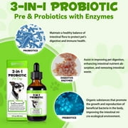 Oimmal 3-in-1 Liquid Probiotic for Dogs | Supports Digestive Health & Gut Comfort - 60ml (1 Pack)