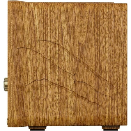 Brown Sinister Speaker - Ghost Hunting Spirit Box Radio | Bluetooth, AM & FM Radio | USB-C Rechargeable | Halloween Gadget | Gothic Home Decor | Spooky Gift