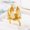 Golden, variant on Womens Copper Ring with Zircon Flower Design Gold-Plated Inlaid Artificial Gems Semi-Precious Stones Individually Packed Jewelry Ring for Her