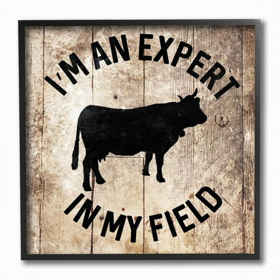 Stupell Industries Expert In My Field Funny Cow Farm Wood Texture Word Design Graphic Art Black Framed Art Print Wall Art, 12x12, by Milli Villa