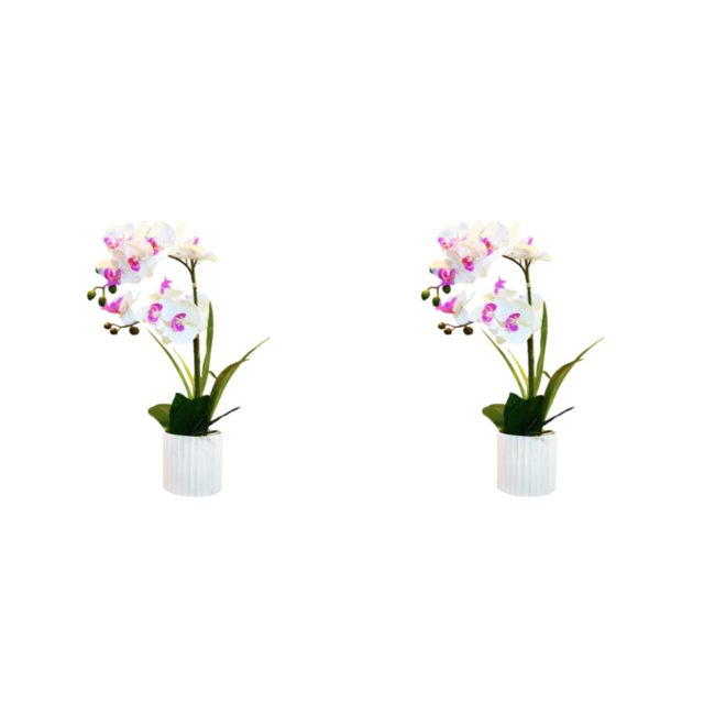 Advancent Sin flores de imitación marchitas para una belleza duradera en cualquier entorno Bonsái artificial sin riego Type2 NO2