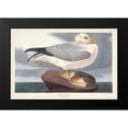 thumbnail image 2 of Audubon, John James 14x11 Black Modern Framed Museum Art Print Titled - Pl 264 Fulmar Petral, 2 of 5