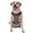 With Accessories, variant on Vsdgher Alphabet Pattern Dog Harness,No Pull Pet Harness with Soft Padded Handle,Adjustable Reflective Vest with 2 Buckles,4 Slide Buckles,S-XL Medium