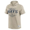 thumbnail image 2 of Men's Darius Rucker Collection by Fanatics  Tan Tampa Bay Rays Hooded T-Shirt, 2 of 4