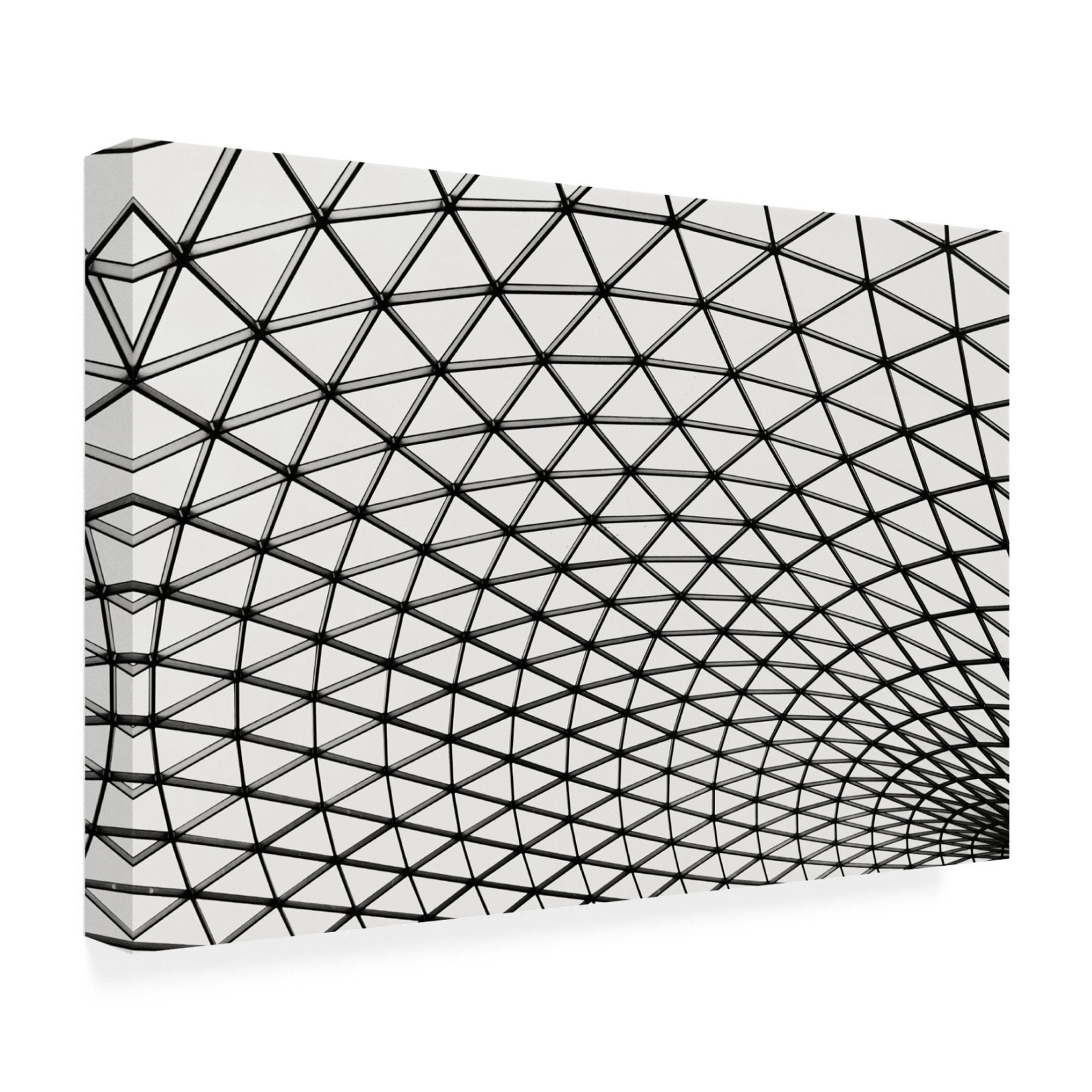 Trademark Fine Art Branko Markovic Web Canvas Wall Art
