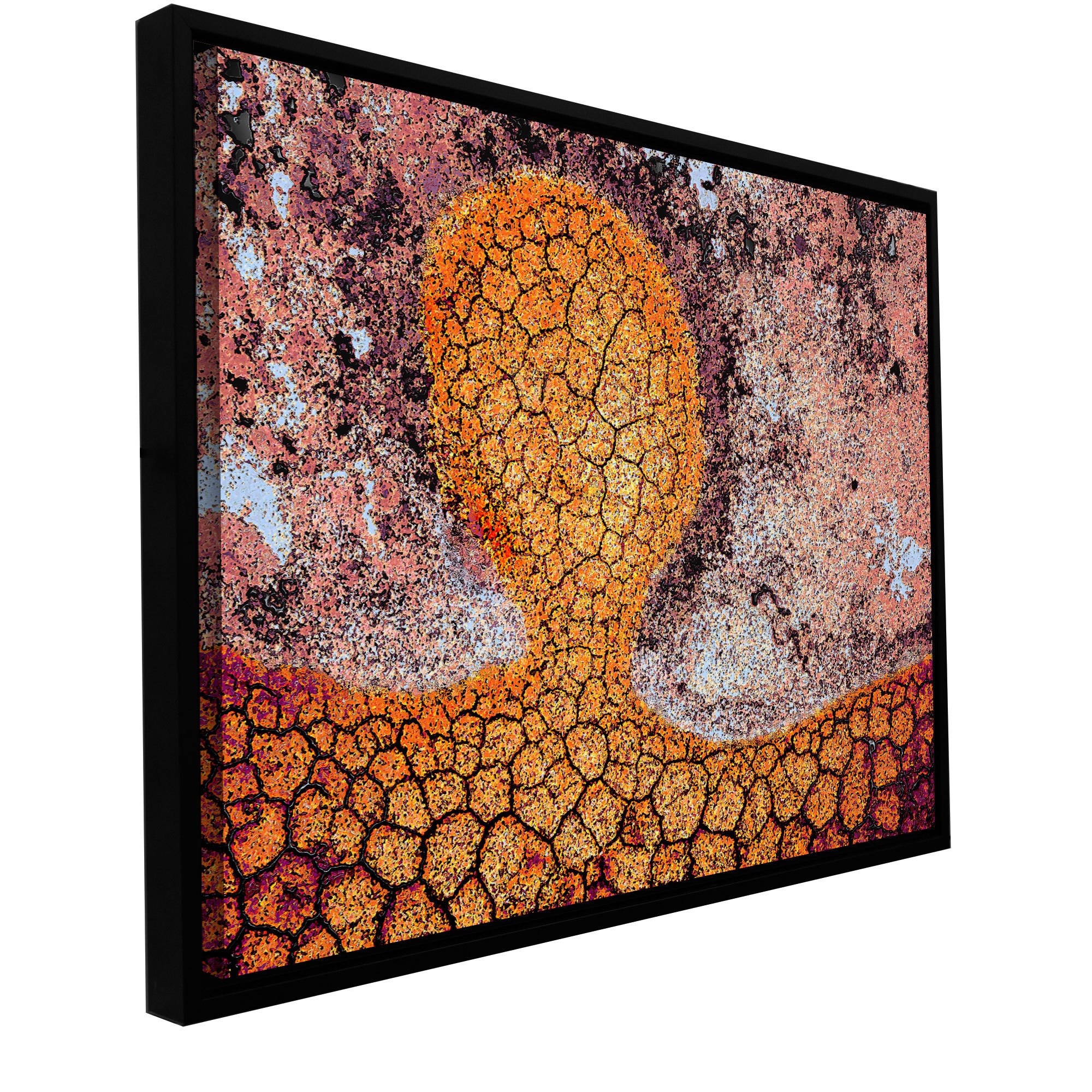 ArtWall Dean Uhlinger "Iktomi" Floater Framed Gallery-Wrapped Canvas