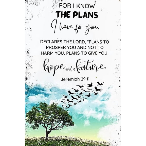 For I Know The Plans I Have for You 29 11  Bible Verse Printable Christians poster