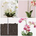 thumbnail image 1 of OHOIOLLA 30Ud Estaca De Acrílico Transparente Para Soporte De Y Plantas En Macetas, 1 of 7