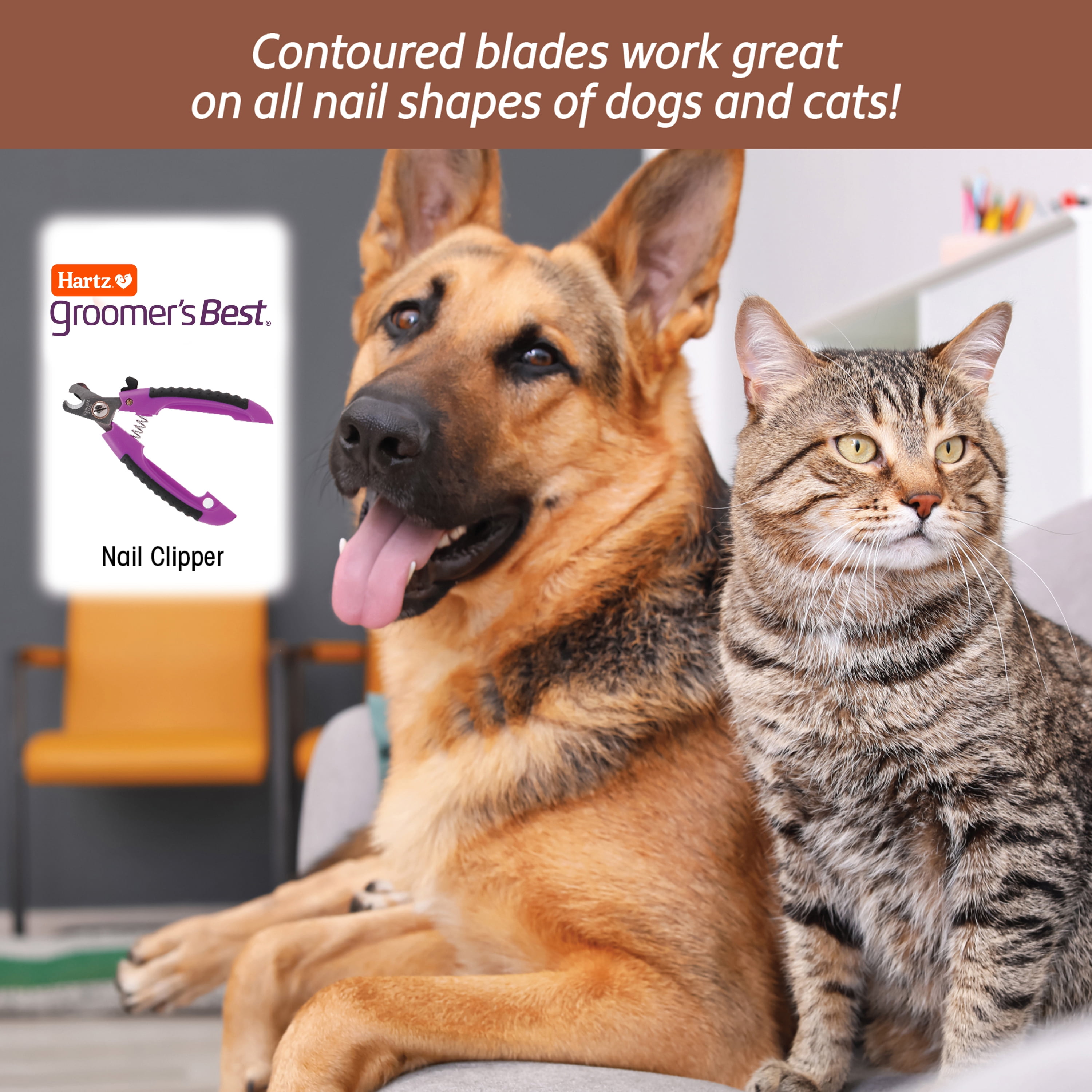 Cat Accessories Nail Claw | Groomers Cut Cat Nails | Cats Accessories Pets  Nail - Cat - Aliexpress