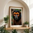 thumbnail image 5 of monkey close-up - Photography Animal Wildlife Jungle Nature Portrait Mystical Forest Unframed Wall Art Print 8 x 12 inches, 5 of 60