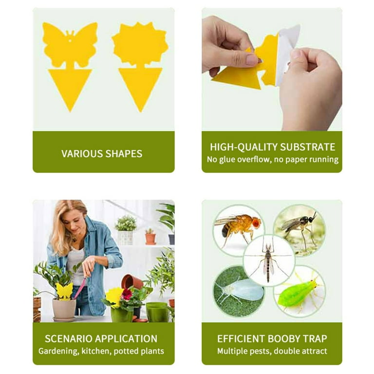 Dropship 18 Pack Sticky Fruit Fly Trap And Fungus Gnat Traps Killer For  Indoor And Outdoor, Protect The Plant, Non-Toxic And Odorless to Sell  Online at a Lower Price