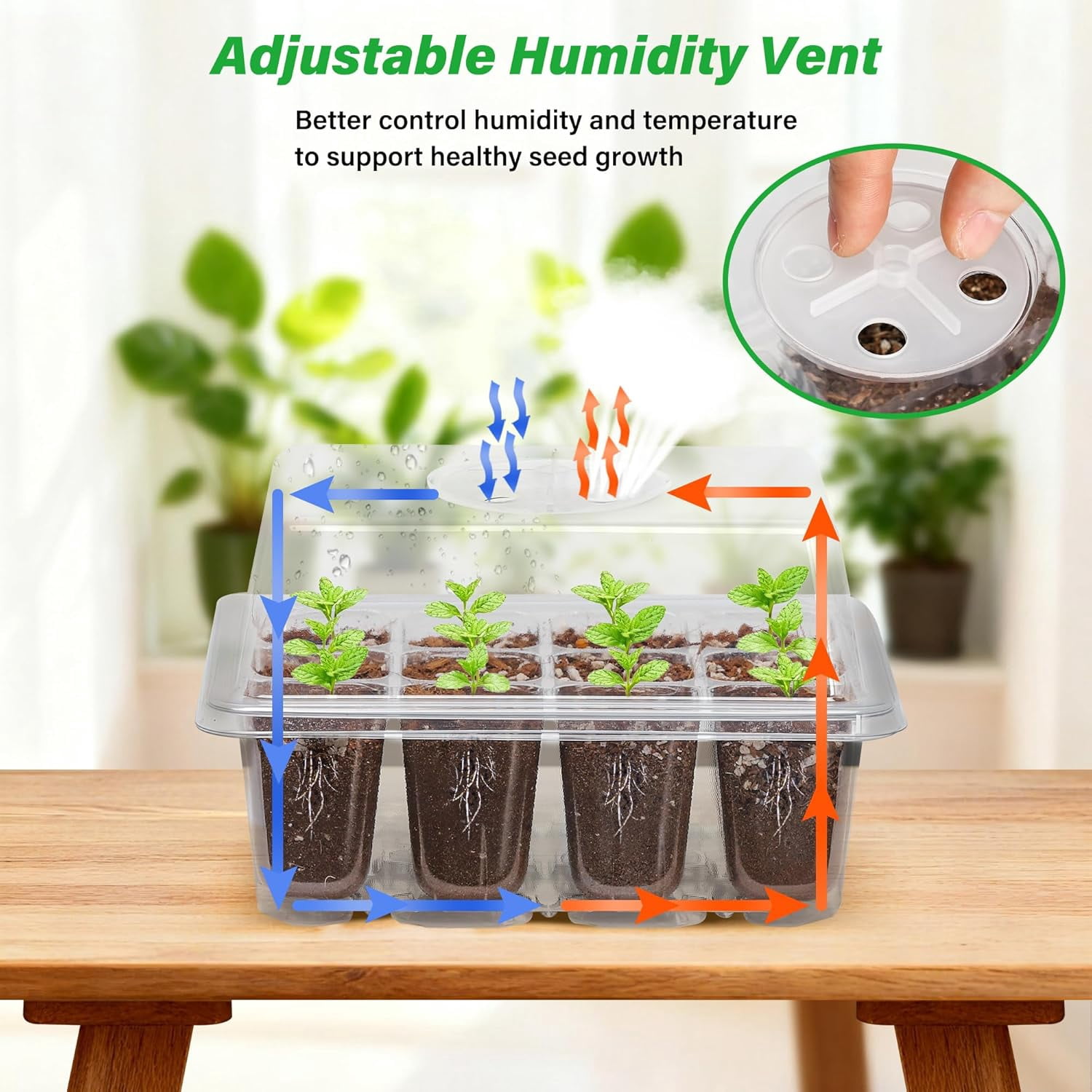 RGHJAR-5-Pack Seed Starter Trays for Indoor Germination – Humidity Dome to Regulate Temperature & Humidity, Clear Tray for Root Observation, Drain Holes to Prevent Overwatering (5 Packs, Clear)