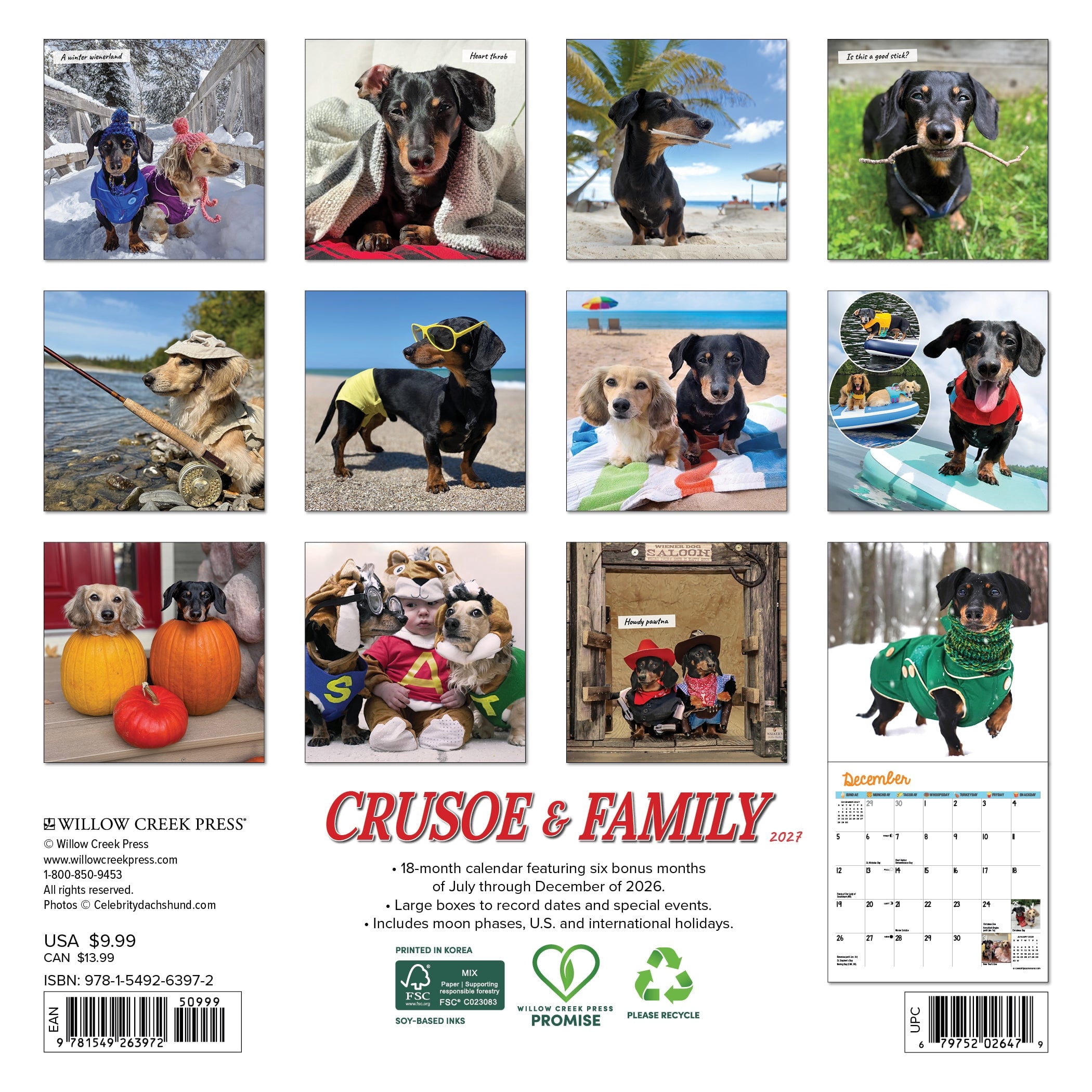 Willow Creek Press, Crusoe the Celebrity Dachshund 2027 Mini Wall Calendar