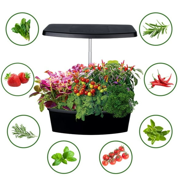 12 Pods Hydroponics Growing System, Adjustable Herb Garden Kit with 36W LED Grow Light for Indoor Gardening System