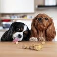 thumbnail image 5 of Hive Bites - Dog Treats for Training, 5 of 8
