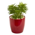 thumbnail image 3 of Nearly Natural 8449-S3 8 Po Plante Artificielle Succulente Mélangée dans un Vase Rouge - Lot de 3, 3 of 3