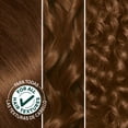 thumbnail image 3 of Garnier Nutrisse Nourishing Hair Color Creme, 53 Medium Golden Brown Chestnut, 3 of 10
