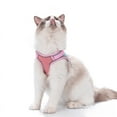 thumbnail image 3 of Pet Supplies Cat Traction Rope Anti-drop Vest Reflective Cat Walking Rope Cat Chest Strap, 3 of 6