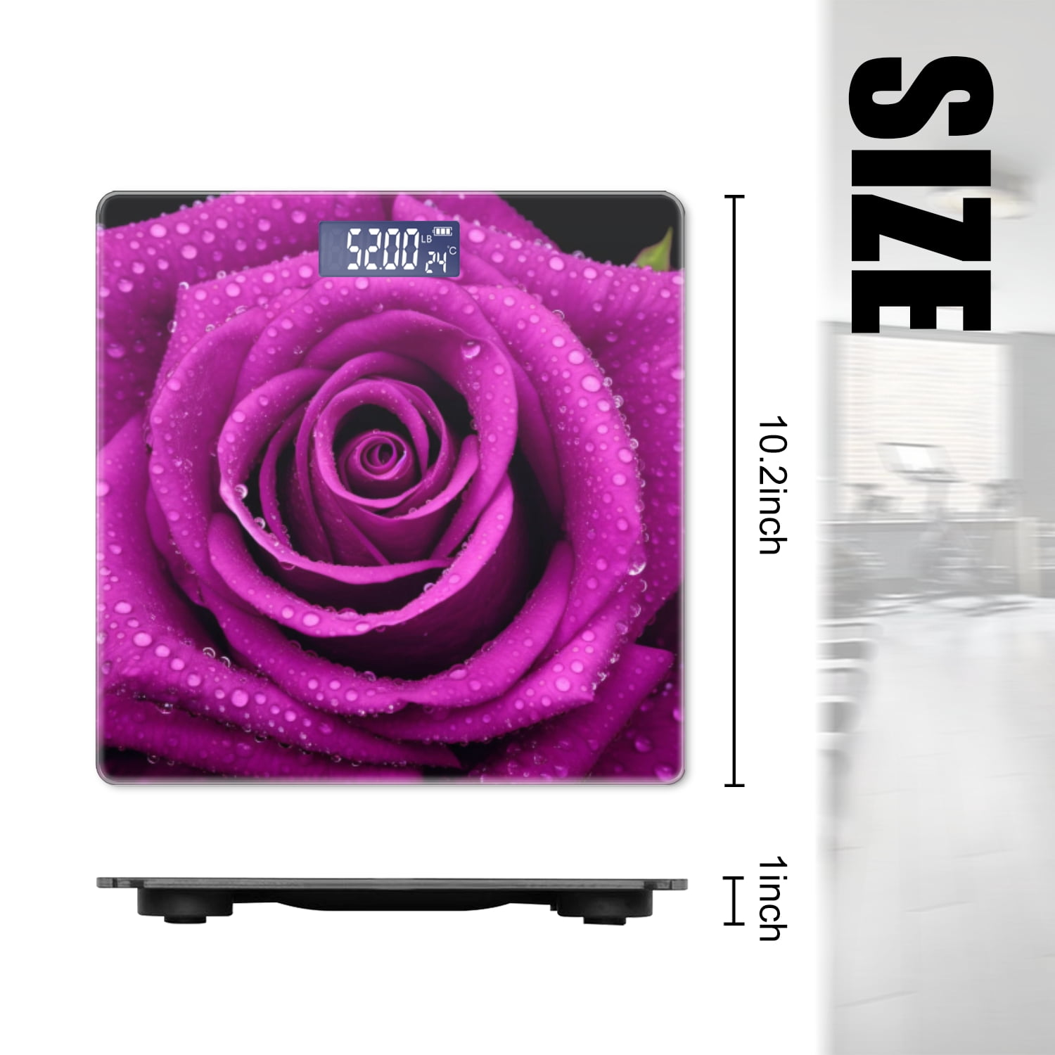 High Precision Body Weight Scale Smart Bathroom Scales with Large LCD Display(400lbs),Decorative for Bedroom-Purple Rose With Dew Drops Isolated On Black Background