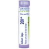 Boiron Allium Cepa 200CK, Homeopathic Medicine for Runny Nose With Clear Discharge, 80 Pellets
