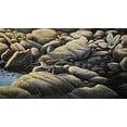 thumbnail image 2 of Goebel, Wilhelm 18x12 White Modern Wood Framed Museum Art Print Titled - Along The Creek - Spotted Sandpiper, 2 of 4