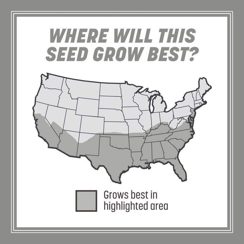 Pennington Seed Grass Seed Contractors Mix South - 20 lbs