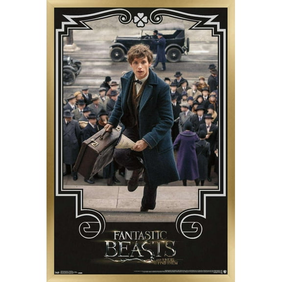 Fantastic Beasts And Where To Find Them - Newt Steps Wall Poster, 14.725" x 22.375", Framed