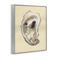 thumbnail image 3 of Stupell Industries Tropical Natural Oyster Shell Gray Framed Giclee Art, 16 x 20, by Michael Willett, 3 of 8