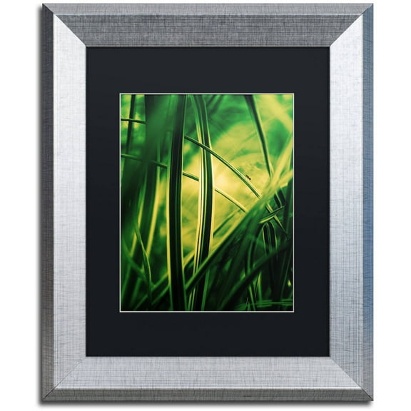 Trademark Fine Art "Miniature" Canvas Art by Philippe Sainte-Laudy Black Matte, Silver Frame