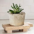 thumbnail image 4 of Wooden Base Soap Wooden Stool For Plants Flower Pot Holder Cupcake Display Jewelry Figurine Riser Mini Plant Stand, 4 of 6