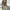Khaki, variant on Simua 2024 Fall Fashion V Neck Basics Crop Tops Long Sleeve Shirts for Women Slim Fitted Y2K Tops