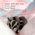 thumbnail image 4 of Hamaca pequeña para jaula para mascotas, hamaca con litera y planeador de azúcar, accesorios para jaula de cobaya, ropa de cama, hamaca cálida para loro, hurón, ardilla, hámster, rata jugando, 4 of 7
