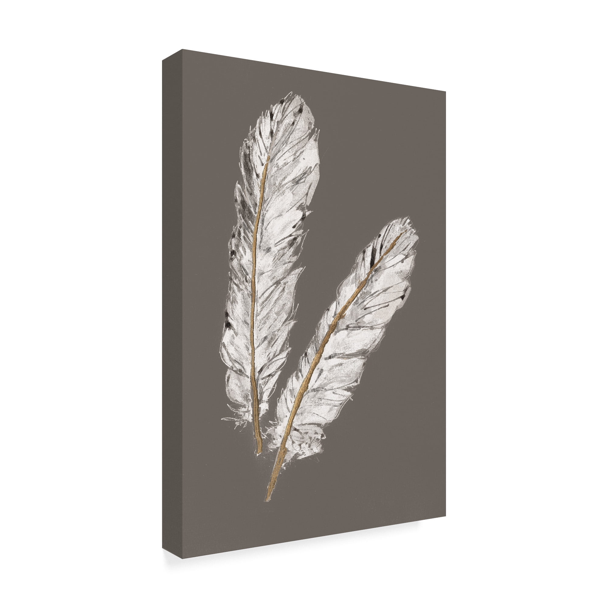 Trademark Fine Art 'Gold Feathers IV on Grey' Canvas Art by Chris Paschke