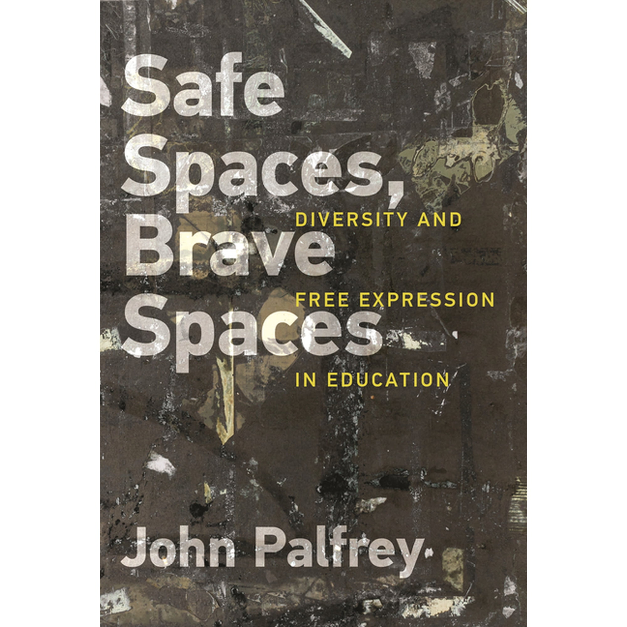 Safe Spaces Brave Spaces: Diversity and Free Expression in Education (Paperback)