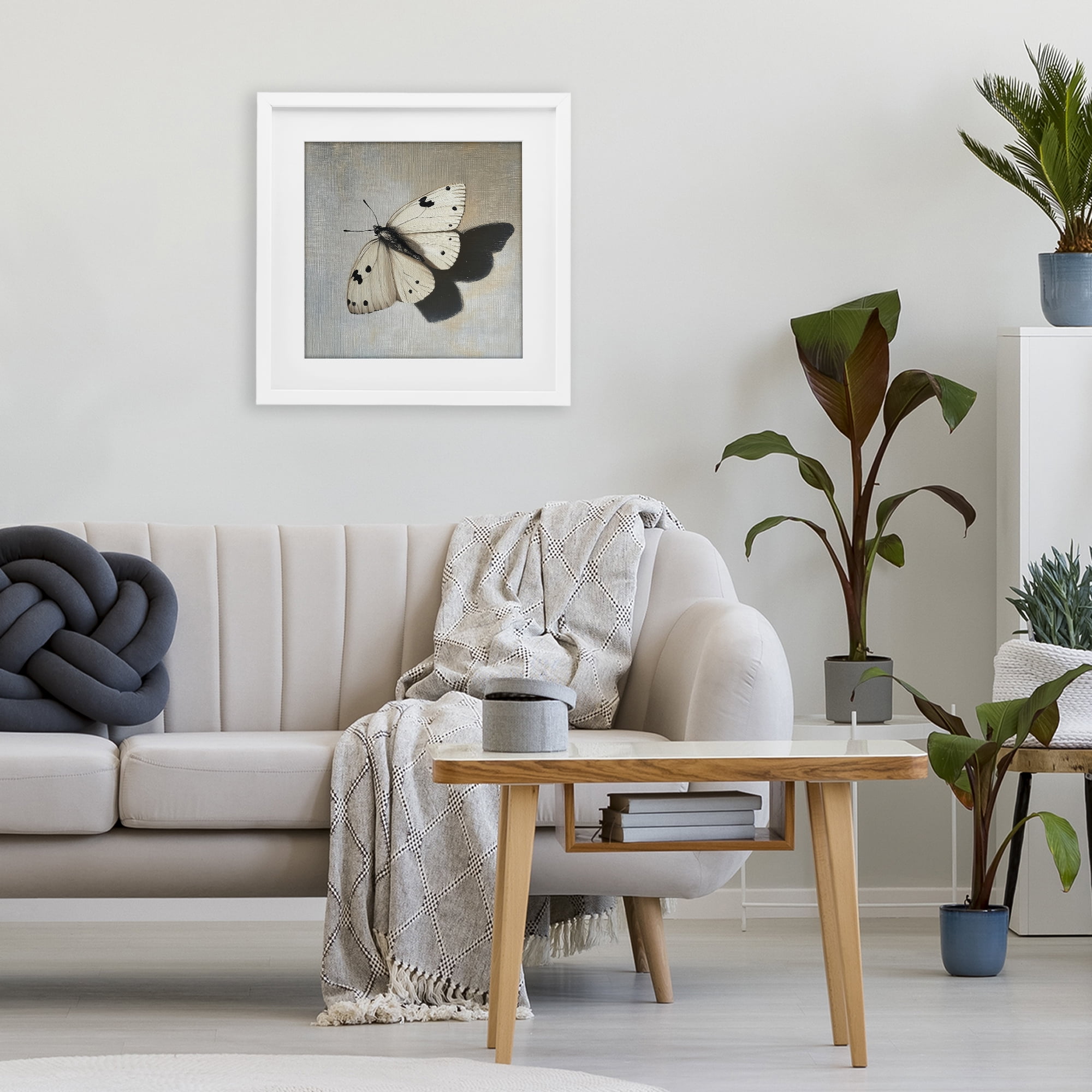 Stupell Industries Velvet's Butterfly Wings White Framed Print Under Glass, design by Svetlana Aleynikova