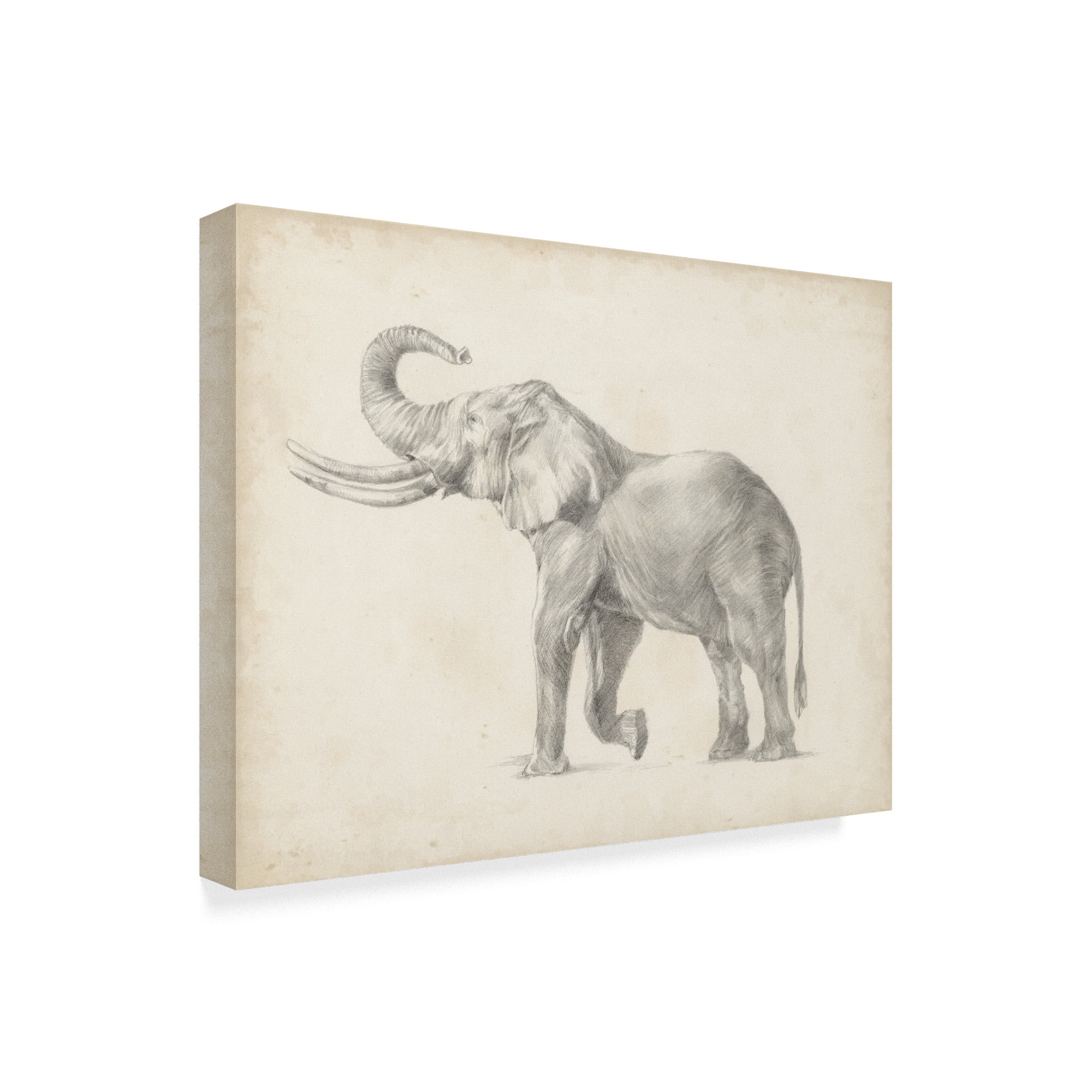 Trademark Fine Art 'Elephant Sketch I' Canvas Art by Ethan Harper