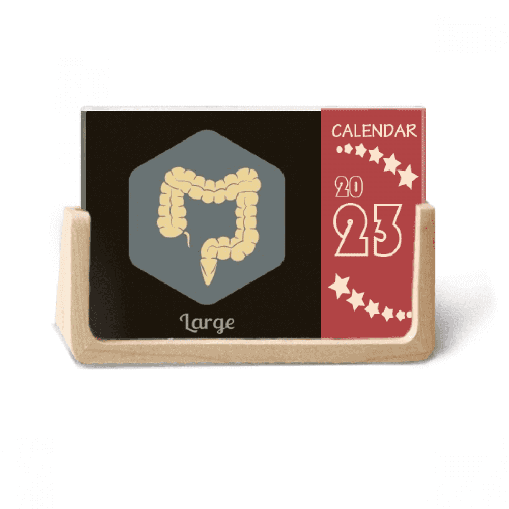 Body Large Intestine Desk Calendar Desktop Decoration 2023