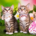 thumbnail image 2 of Collar floral para gato con cascabel de pajarita, paquete de 2 lindos collares de gato con flores y pajarita extraíble (floral), 2 of 5