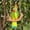 D002- Green, variant on Outdoor Yard Decorations, 14inBird Swing, Resin Art, Leaf Accents, Yellow Figurine, Patio Garden Decor, Balcony Decor, 1 Pc