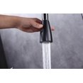 thumbnail image 3 of Grifo Brudermaim Dahsnü desplegable de latón sin plomo negro ORB, 3 of 9