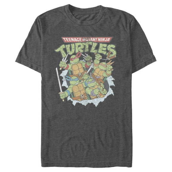 Men's Teenage Mutant Ninja Turtles Distressed Team in Action Graphic Tee Charcoal Heather 3X Large